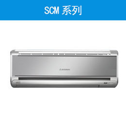 SCMϵ