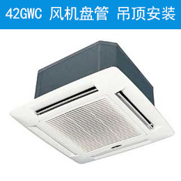 42GWC ̹ װ