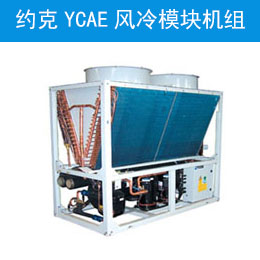 ԼYCAE