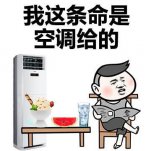 Լյͨյ˽⼸