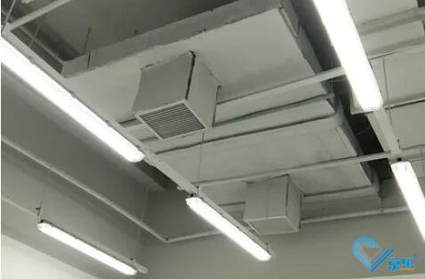 յڻά